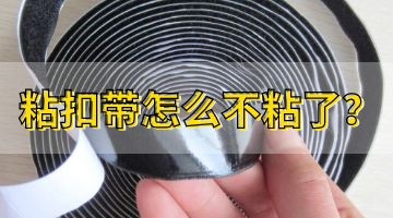 尊龙ag旗舰厅官网(中国)官网入口